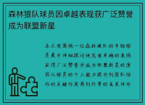 森林狼队球员因卓越表现获广泛赞誉成为联盟新星